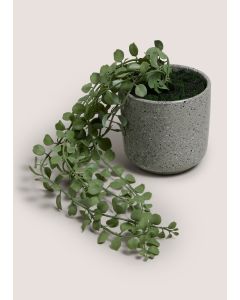 Renew Trailing Plant In A Pot-Green-One Size