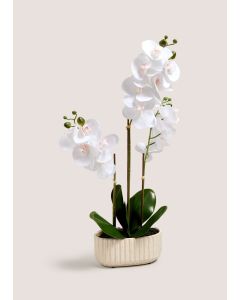 Ribbed Window Ledge Orchid-White-One Size