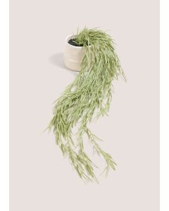 Cabana Trailing Plant-Green-One Size