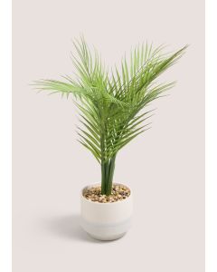 Palm Leaf In Reactive Pot-Green-One Size