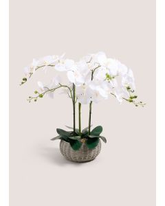 Orchid In Woven Pot-White-One Size