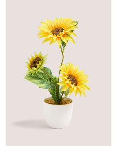 Sunflower In Plastic Pot-Yellow-One Size