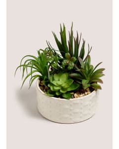 Succulent In Bowl-Green-One Size