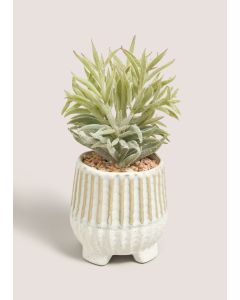 Succulent In Footed Pot-White-One Size