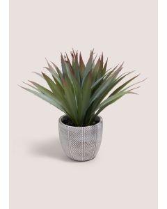 Red Tipped Cabana Plant Green-Green-One Size