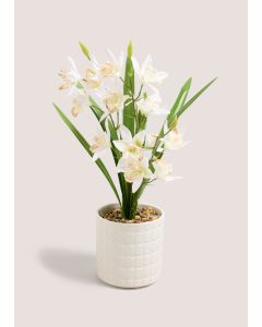 Flowers In Pot-White-One Size