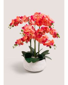 Orchid In Ceramic Pot-Orange-One Size