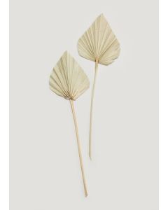 Spearhead Stems