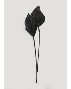 Spearhead Stems
