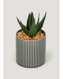 Mini Aloe in Grey Pot (18cm x 9.5cm)