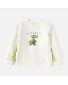 Toddler Boy Middle collar sweatshirt